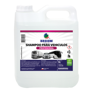 shampoo vehiculo